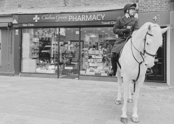 Chelsea Green Pharmacy website preview